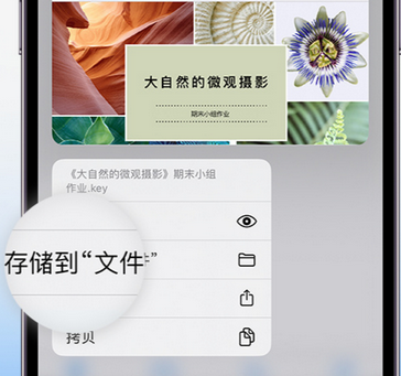 建始apple维修中心分享iPhone文件应用中存储和找到下载文件