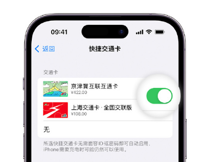 建始apple维修点分享iPhone上更换Apple Pay快捷交通卡手绘卡面 