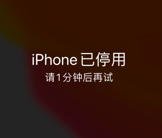 建始苹果手机维修分享:iPhone 显示“不可用”或“已停用”怎么办？还能保留数据吗？ 