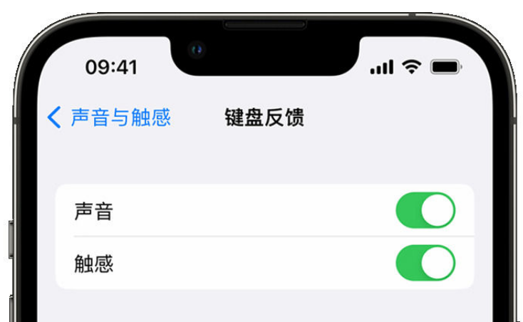 建始苹果手机维修分享iPhone 14触感键盘使用方法 