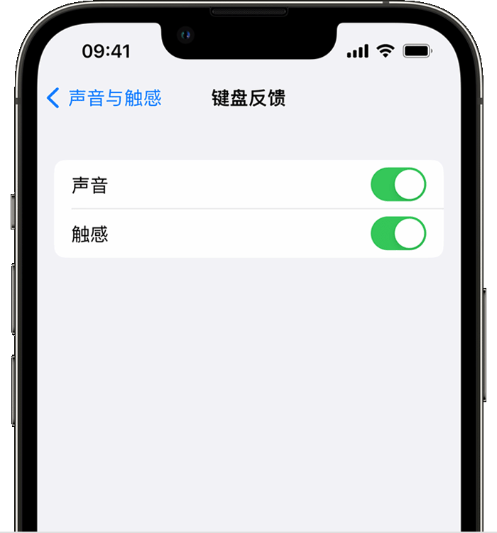 建始苹果14维修店分享如何在 iPhone 14 机型中使用触感键盘 