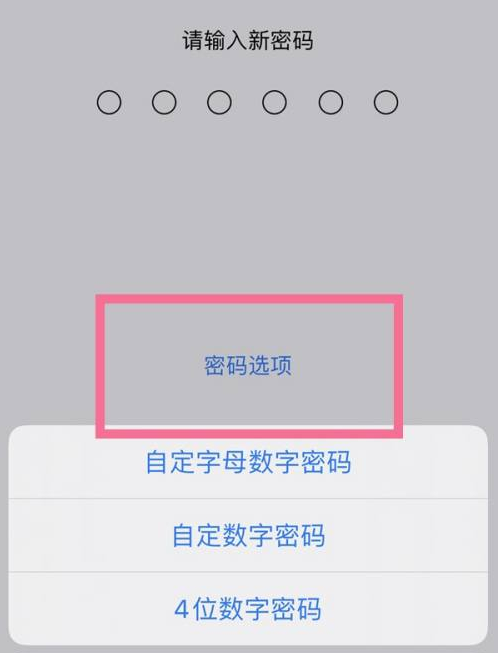 建始苹果14维修分享iPhone 14plus设置密码的方法 