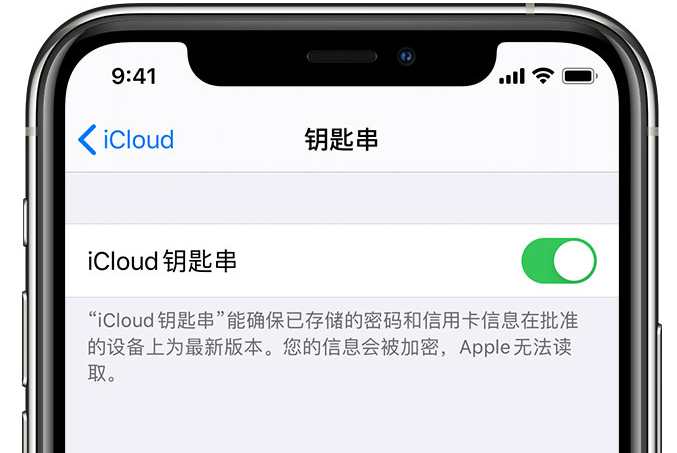 建始苹果手机维修分享在 iPhone 上开启 iCloud 钥匙串之后会储存哪些信息 