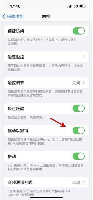 建始苹果手机维修分享iPhone手机如何设置摇一摇删除文字 